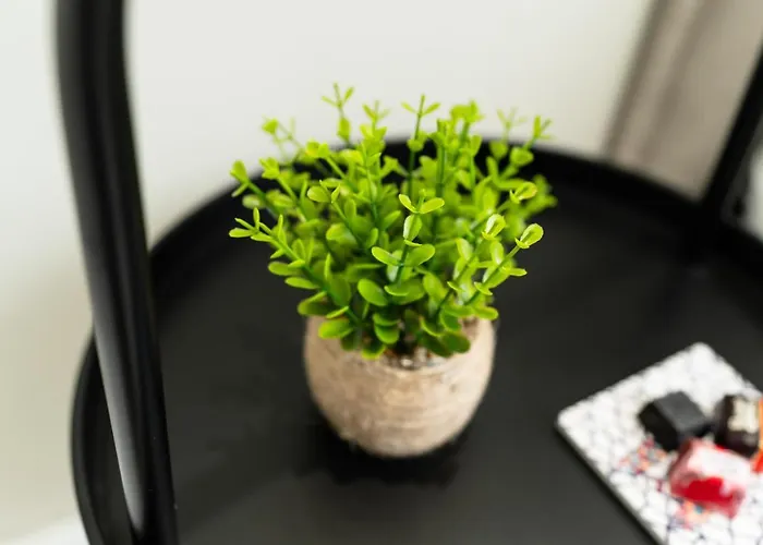 Oda ve Kahvaltı Pane E Pomodoro 3*